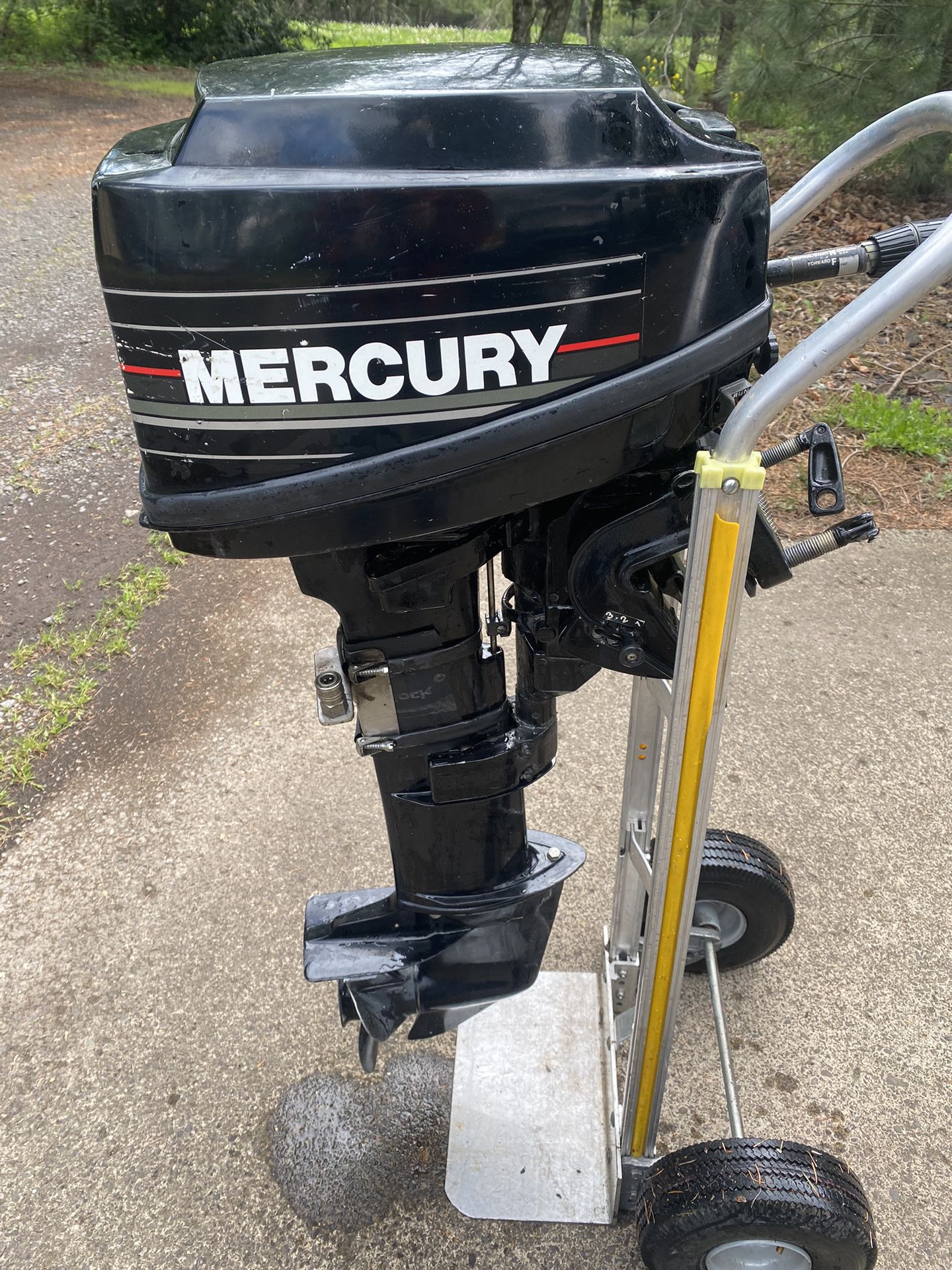Mercury 8hp Long Shaft