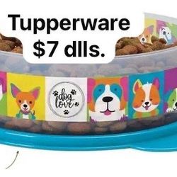 Tupperware With 