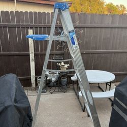 6 Foot Werner Step Ladder Tool