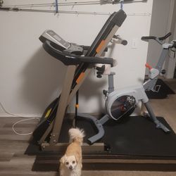 ProGear BT5000 Foldable Electric Treadmill