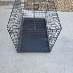 Large Dog Kennel 🐕 