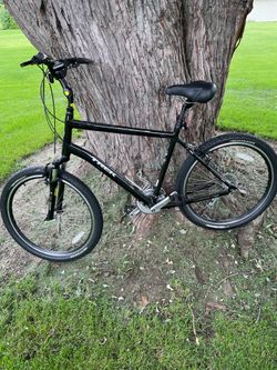 Trek Shift 3