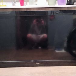 Sanyo Tv