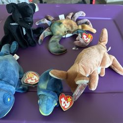 Entire Beanie Baby Collection