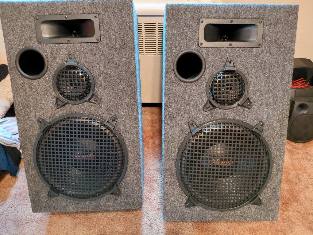 12" Acoustic Loud Speaker System, Model 9901