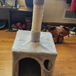 Cat Scrating Post