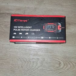an RJ Tianye 12V Intelligent Pulse Repair Charger. 