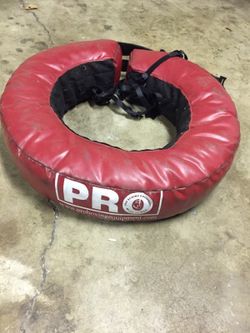 Pro Boxing ring
