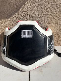 Boxing bodyguard