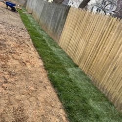 Fresh Sod Cut Every Morning 