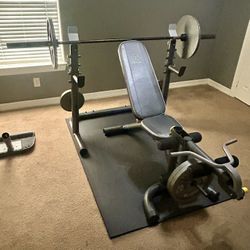 Gold's Gym XRS 20 Adjustable Olympic Workout Bench with Squat Rack, Leg Extension, Preacher Curl, and Weight Storage