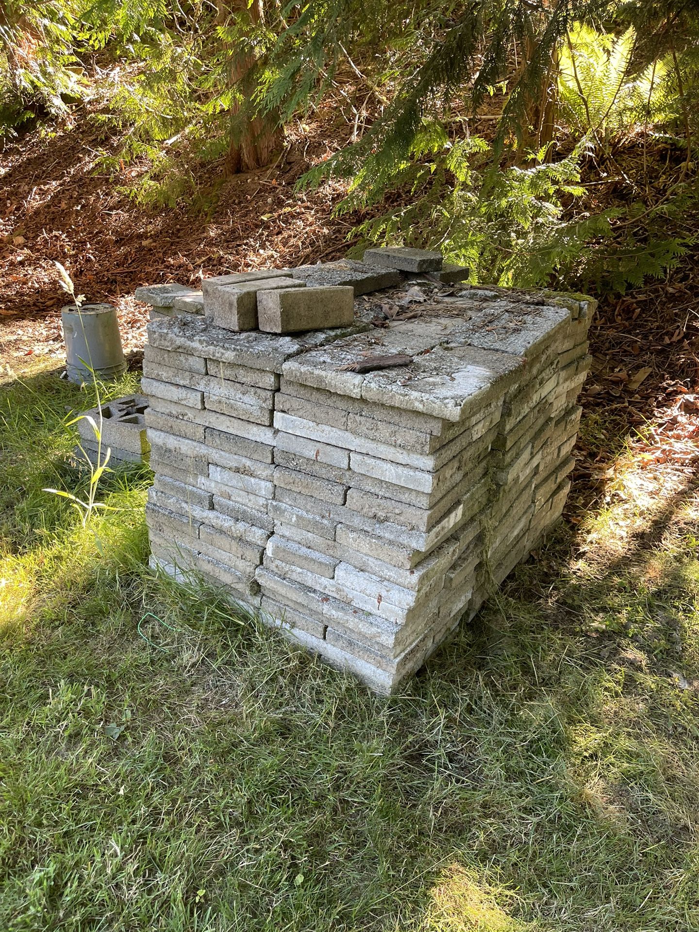Solid Cement Block LOT 100+ 17x9x1 1/2" $40