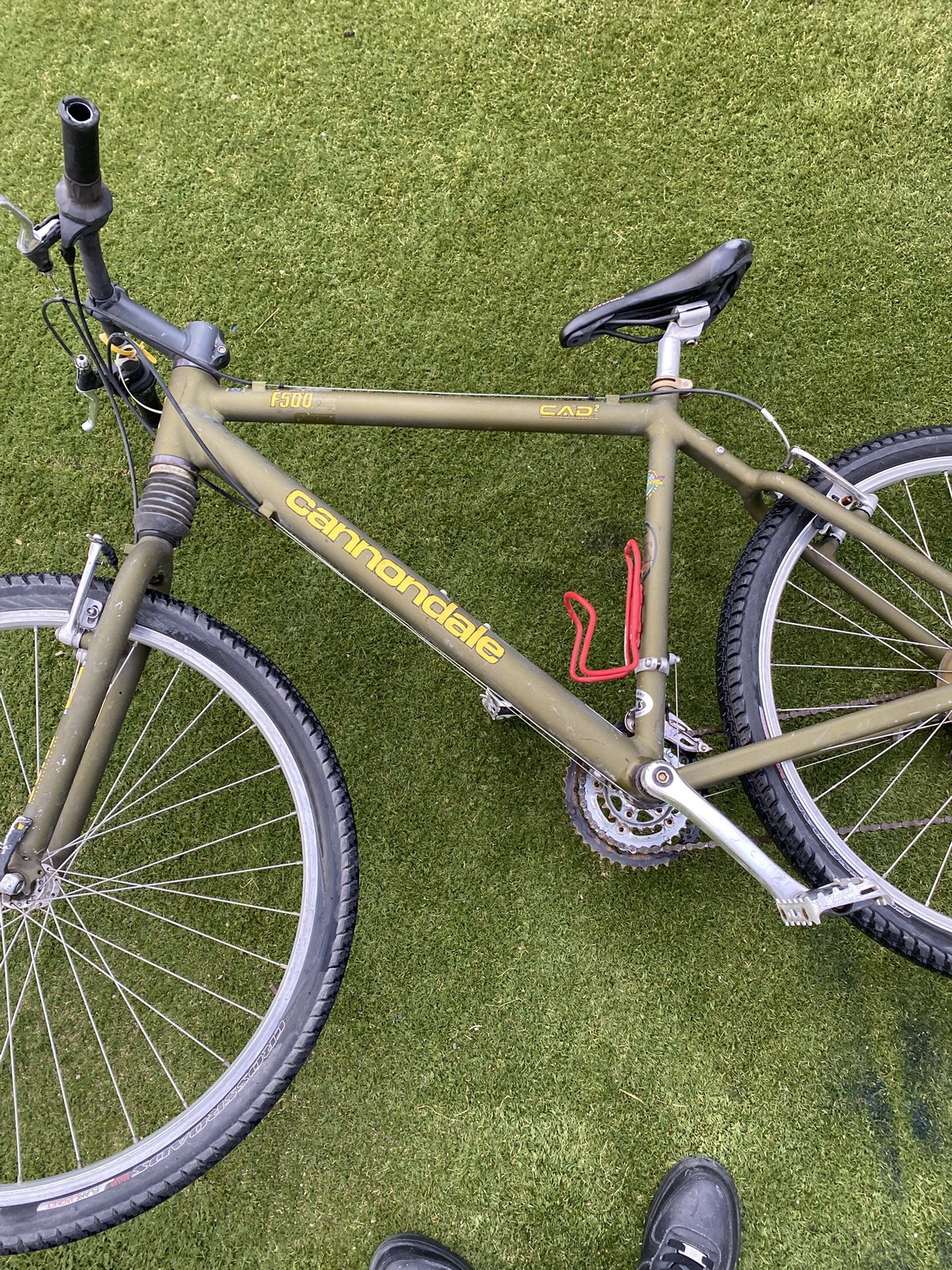 Cannon Mt Bike
