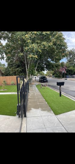 Turf 