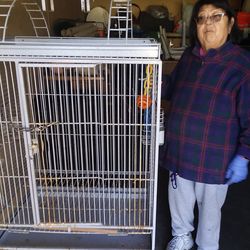 Large bird cage