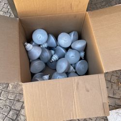 BR30 Lamp, Eco Smart, 25 Units. 1 Dollar Each.