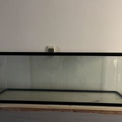 ‼️40 Gallon Long‼️