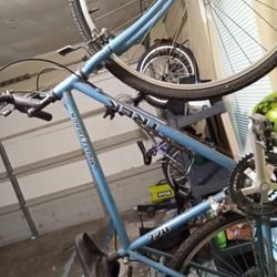 Trek 720 Multitrack Bicycle