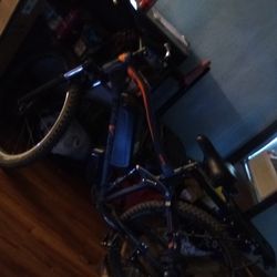 Edikani Electric Bike