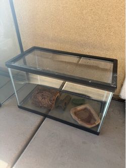 10 gallon terrarium