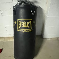 Barely Used Everlast Punching Bag