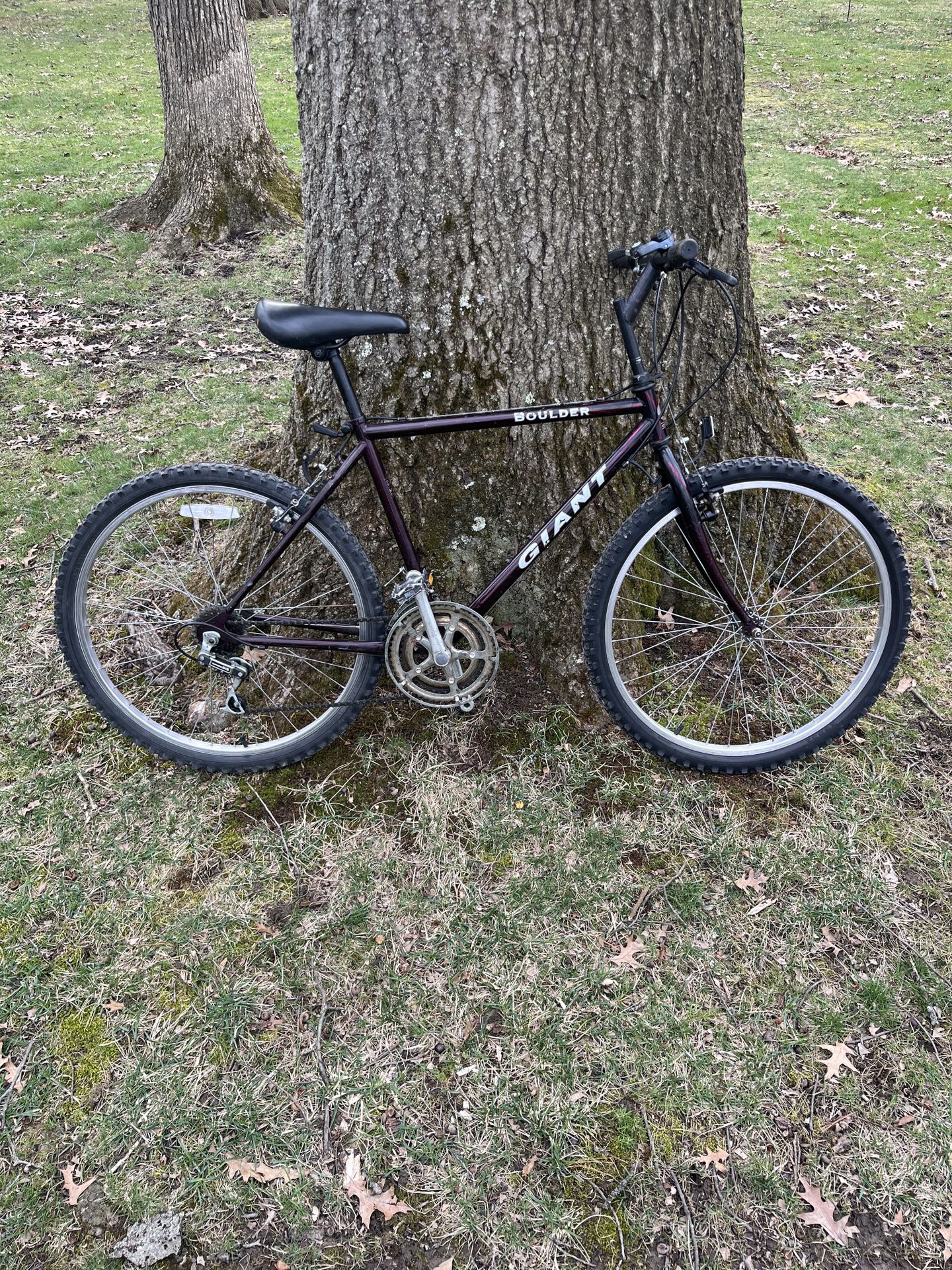 26 “ giant mountain bike