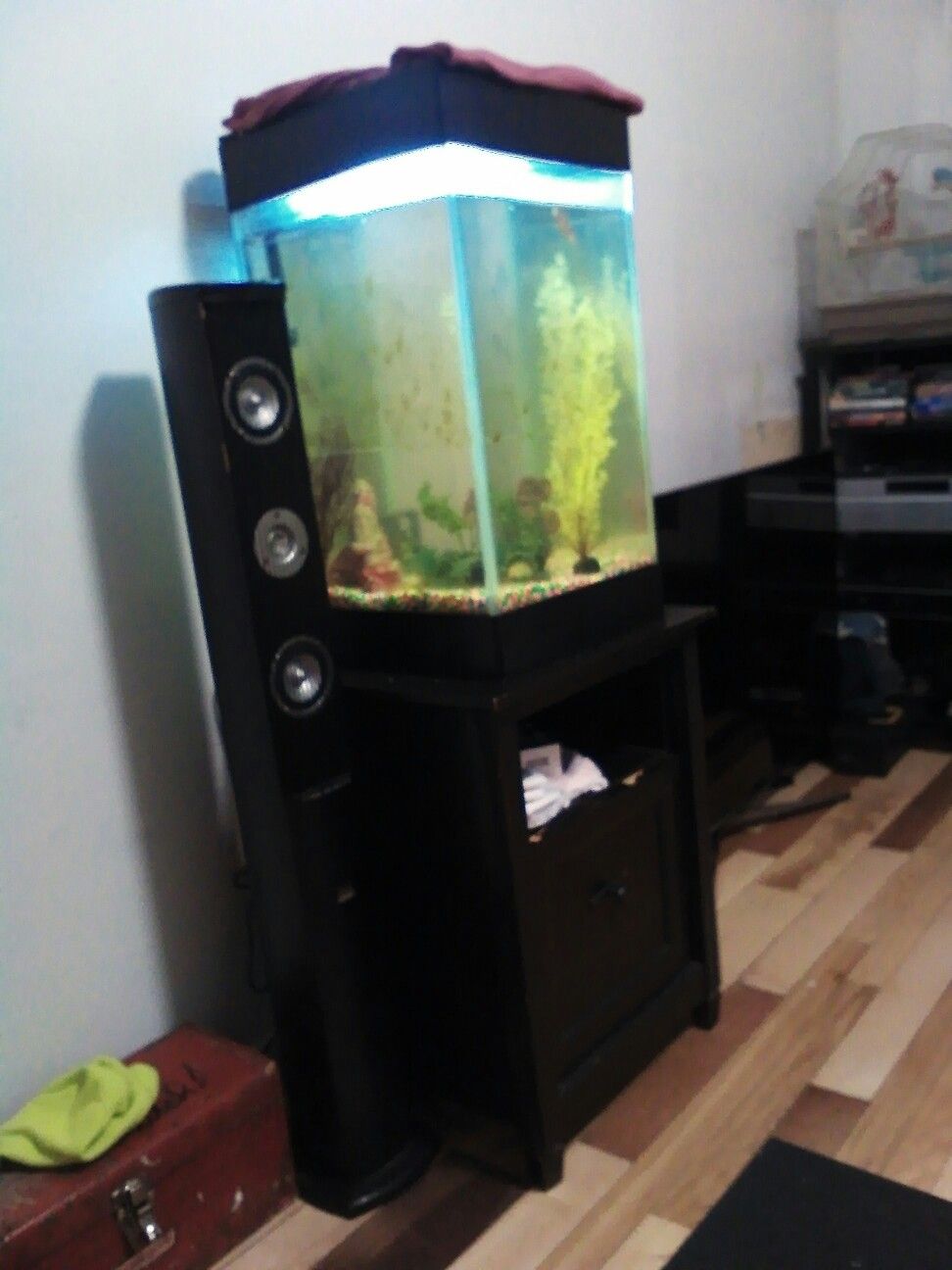 EmptyFish tank make a offer