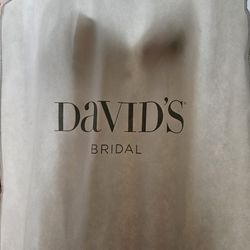 David's Bridal Wedding Dress 