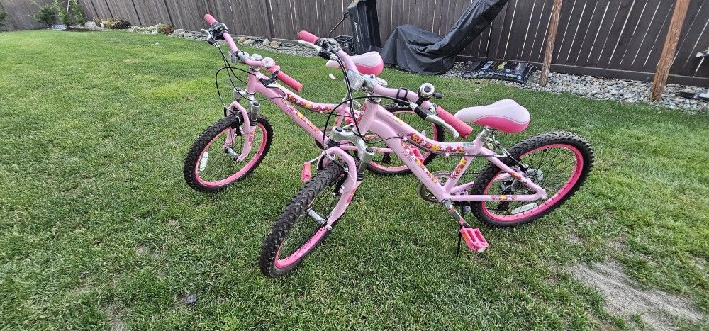 Performance Bike Girl's Starling 20"