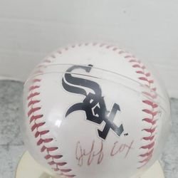 Chicago white sox autograph baseball collectible with case. 