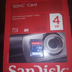 SanDisk (SDHC CARD)