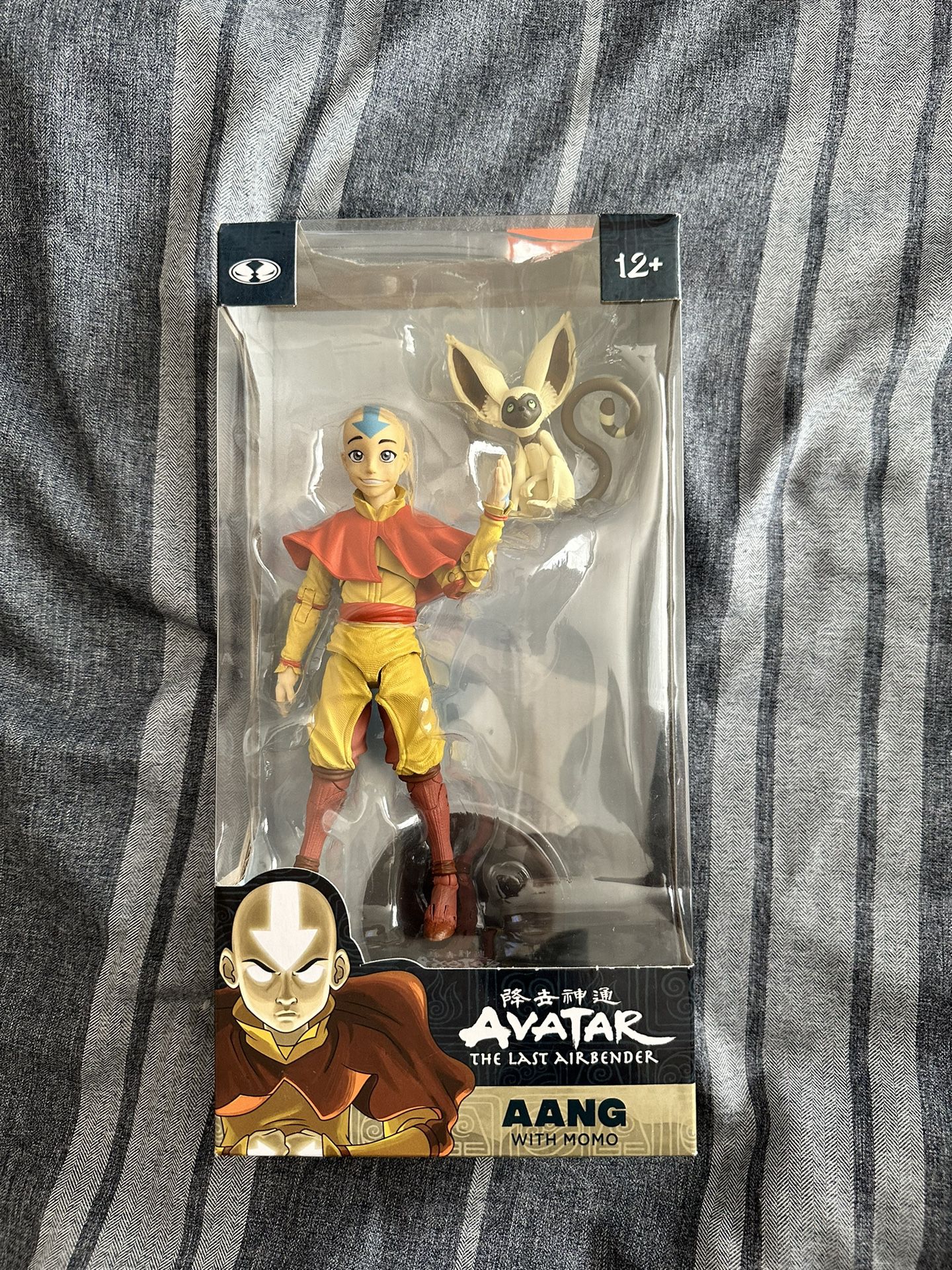 Aang With Momo Action Figure
