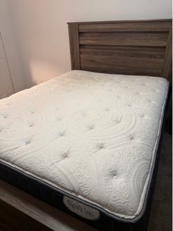 Queen Bed + Box Spring