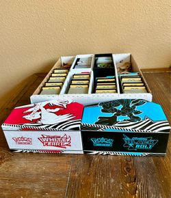 Pokémon 2025 SV11w & SV11b JP Bulk Mint Condition Sorted and Catalogued