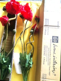 Home 🏠 interior “.  2 guia s.    Nuebas.  En.  Caja.