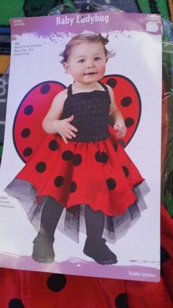 Ladybug