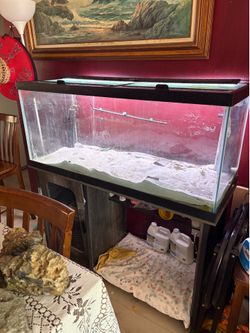 75 gallon aquarium and stand