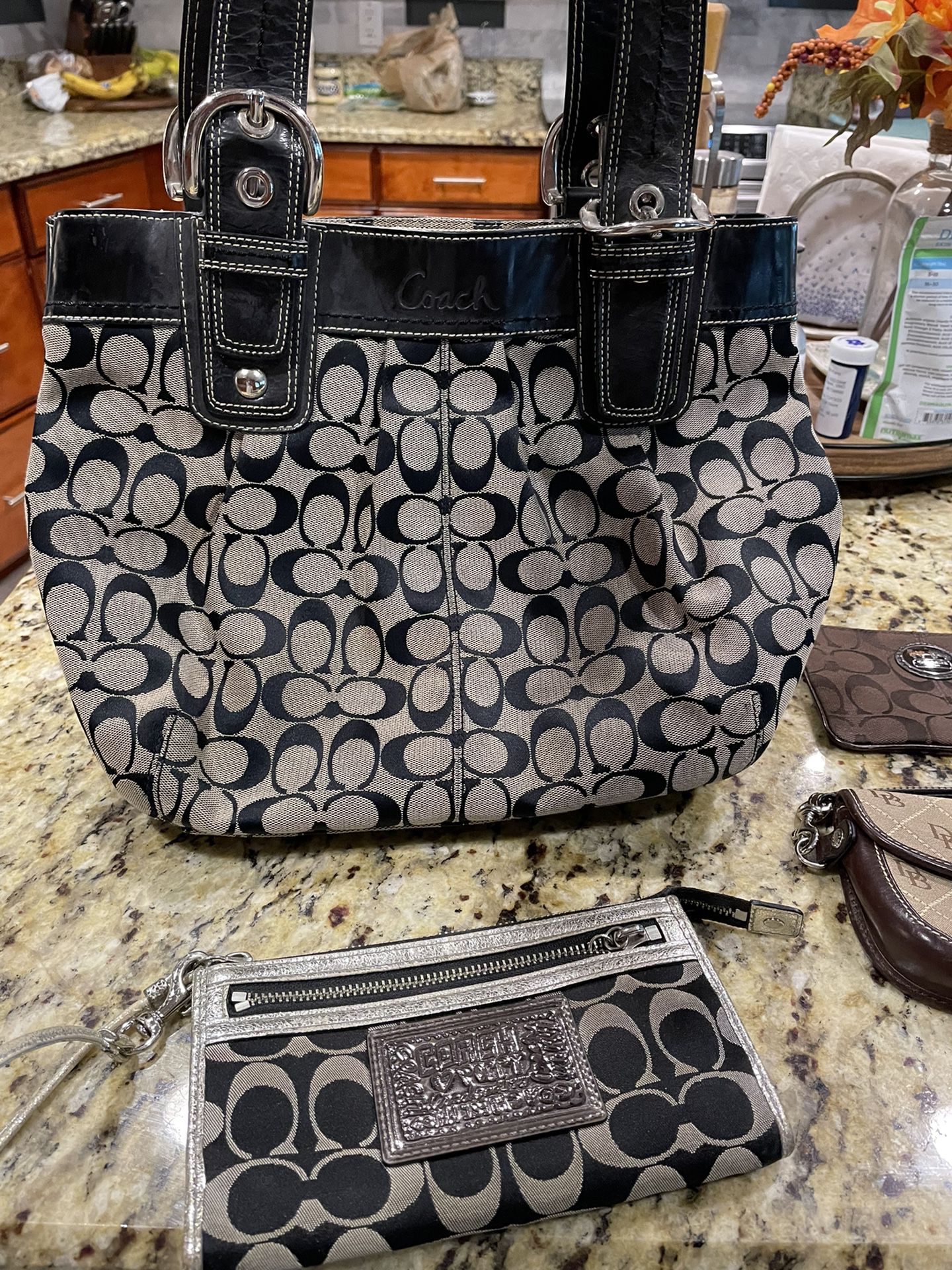 Authentic Coach Hobo Bag And Wristlet 