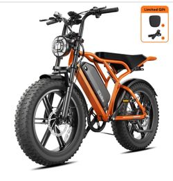 E bike