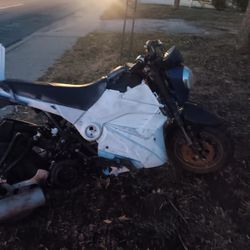 Moped 