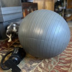 Medium Size Exercise Ball