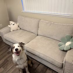 Couch for Sale