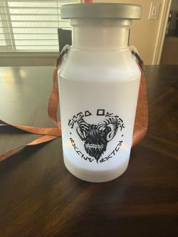 Disney parks jug
