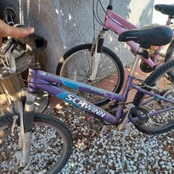 11" Girls Schwinn Bike