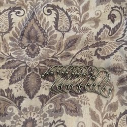 Shower Curtain with Hooks $10