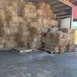 Hay Black Friday Sale