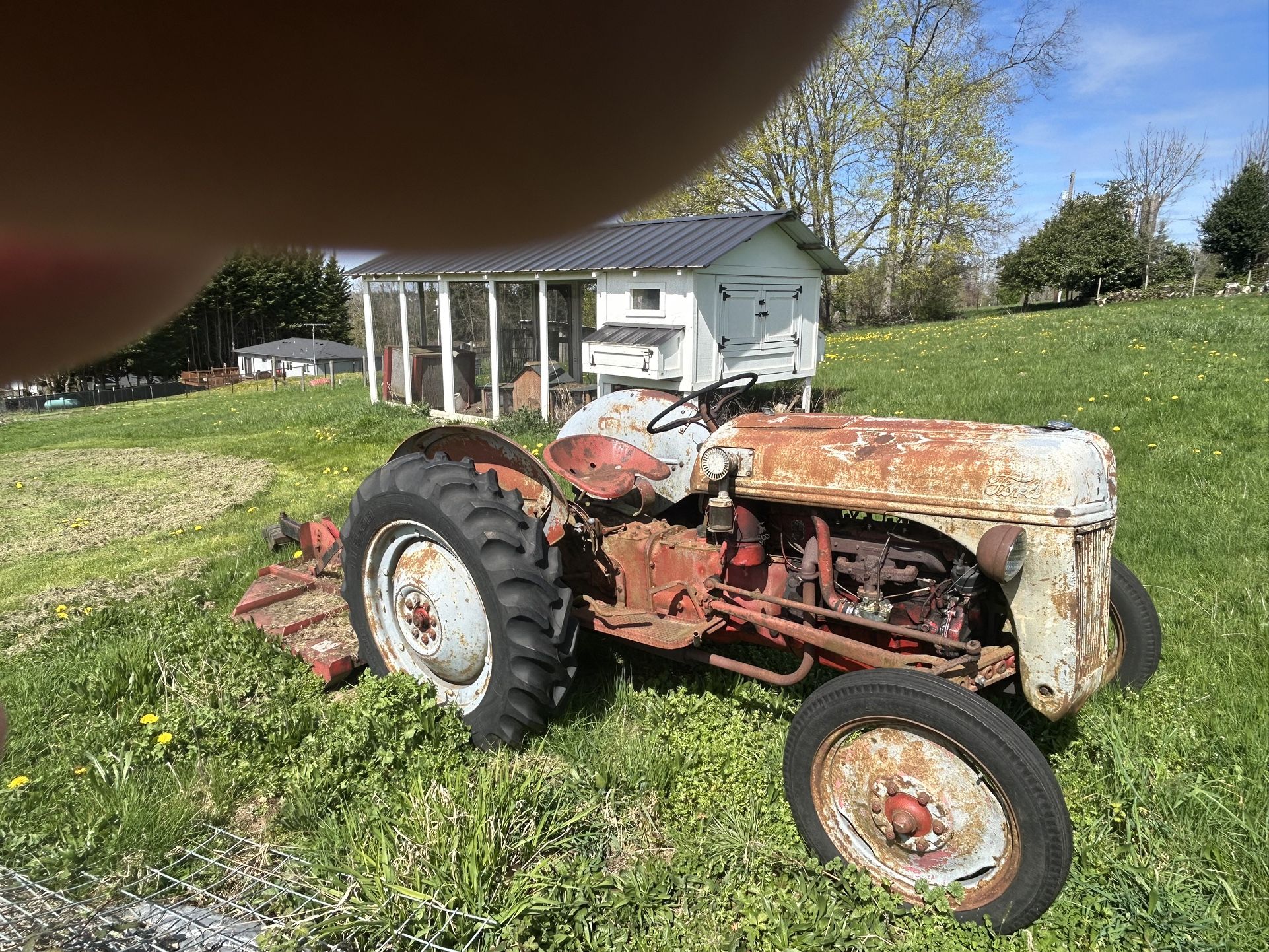 1952 Ford 8N Tractor