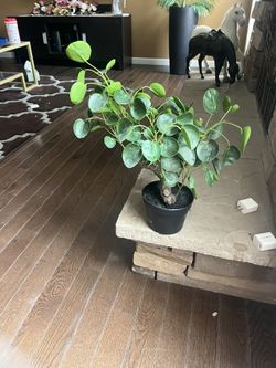 Plastic Tree For Sale 
