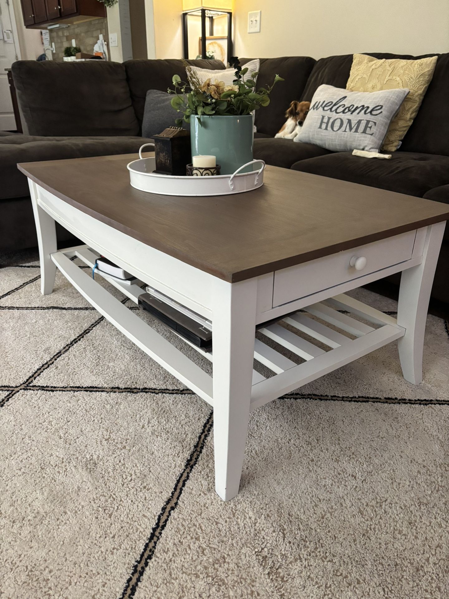 Beautiful coffee table with shelf and drawer