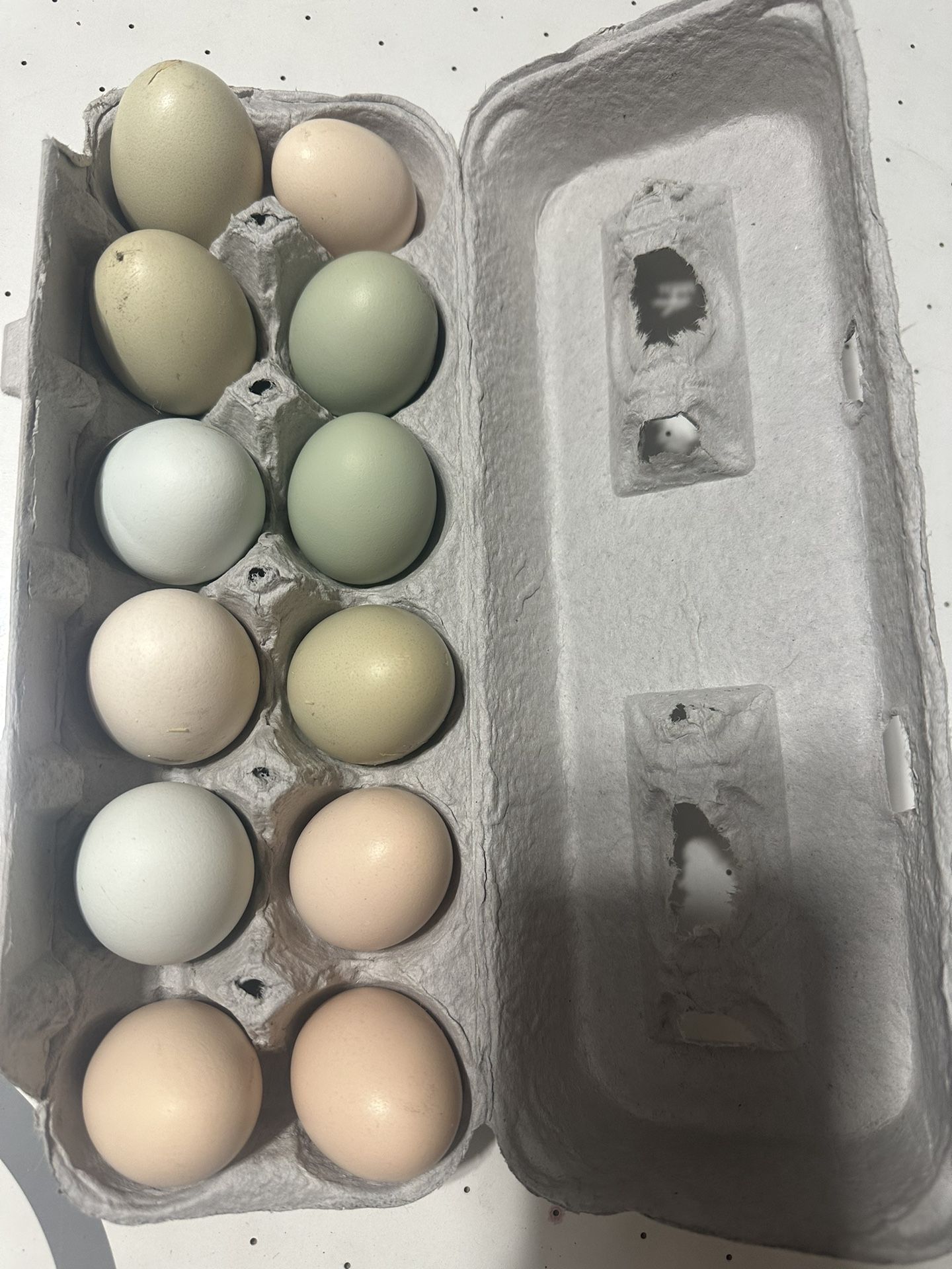 Fresh Eggs